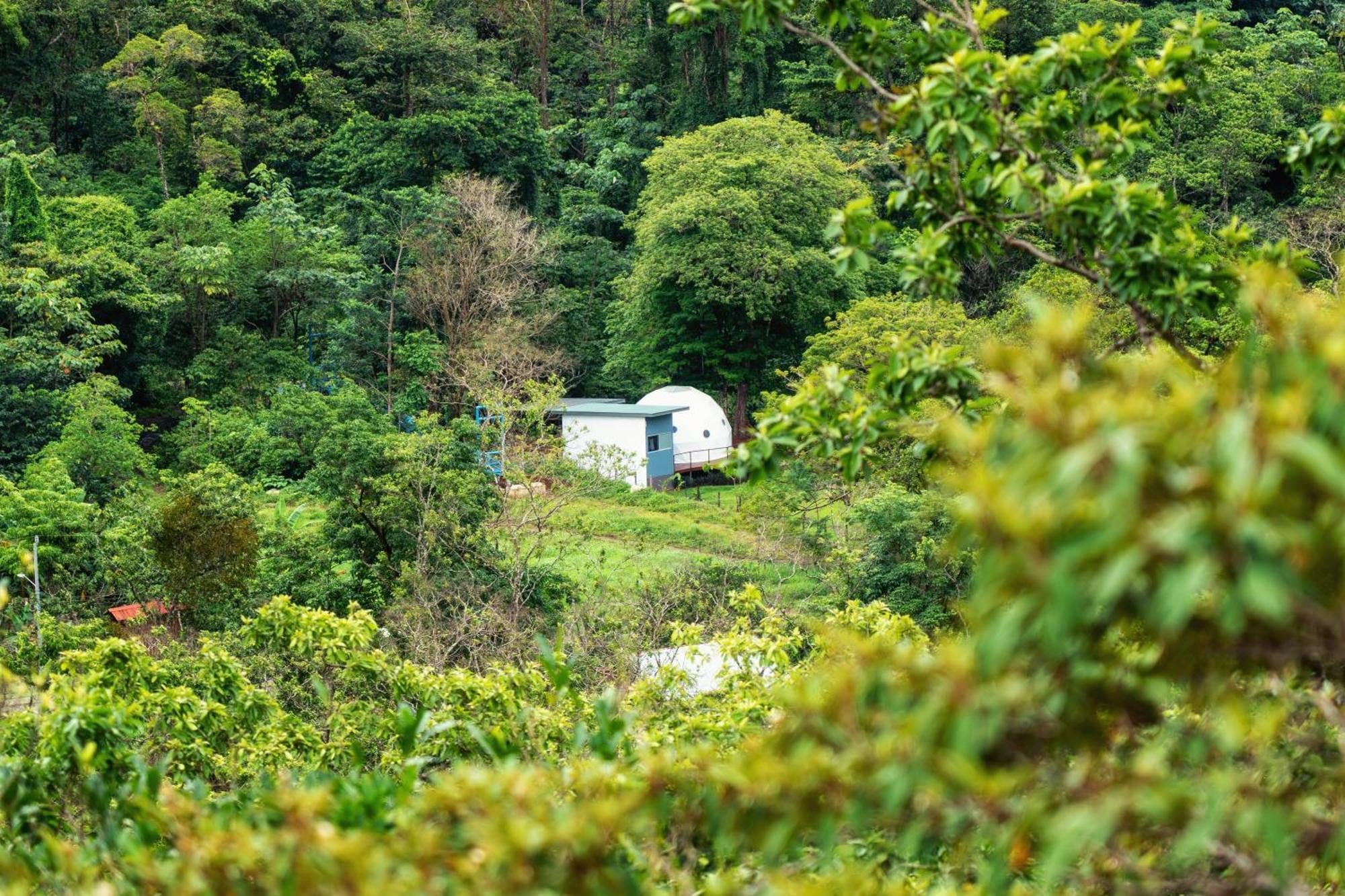 Bitzu Dome-Bijagua Riverside Glamping المظهر الخارجي الصورة